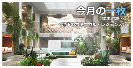今月の一枚